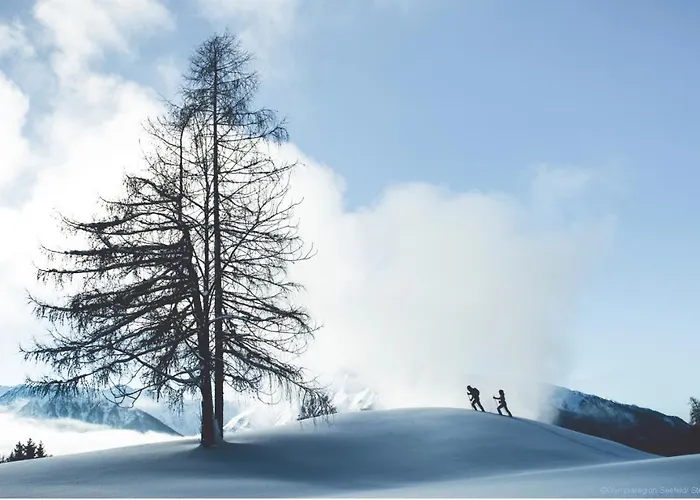 Valdo * Seefeld in Tirol